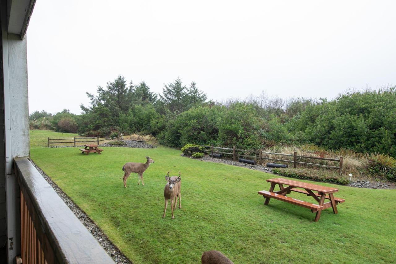 Aurora At Nautilus - Pet Friendly Oceanfront Condo Ocean Shores Buitenkant foto
