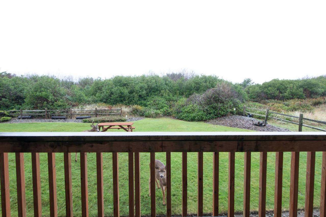 Aurora At Nautilus - Pet Friendly Oceanfront Condo Ocean Shores Buitenkant foto