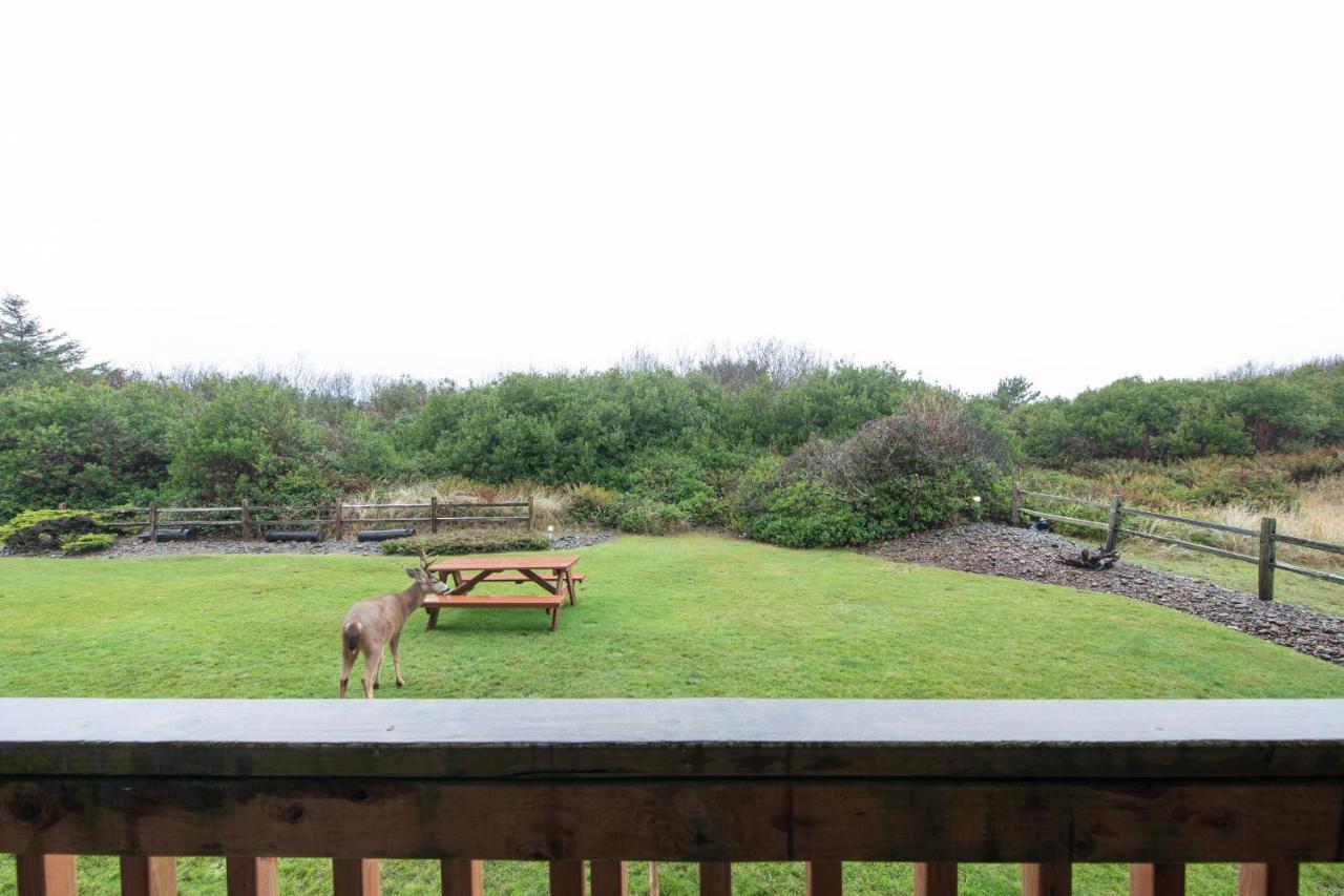 Aurora At Nautilus - Pet Friendly Oceanfront Condo Ocean Shores Buitenkant foto